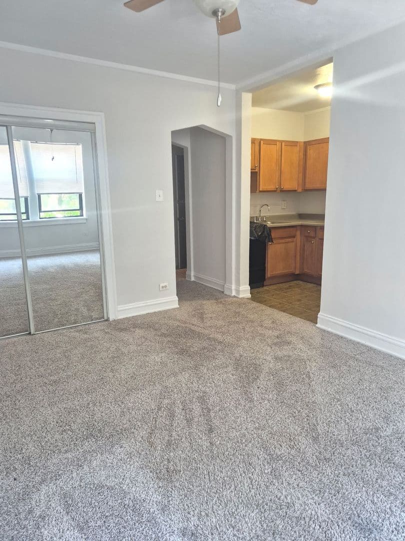 Chicago Apartment: 5210-14 South Woodlawn Avenue