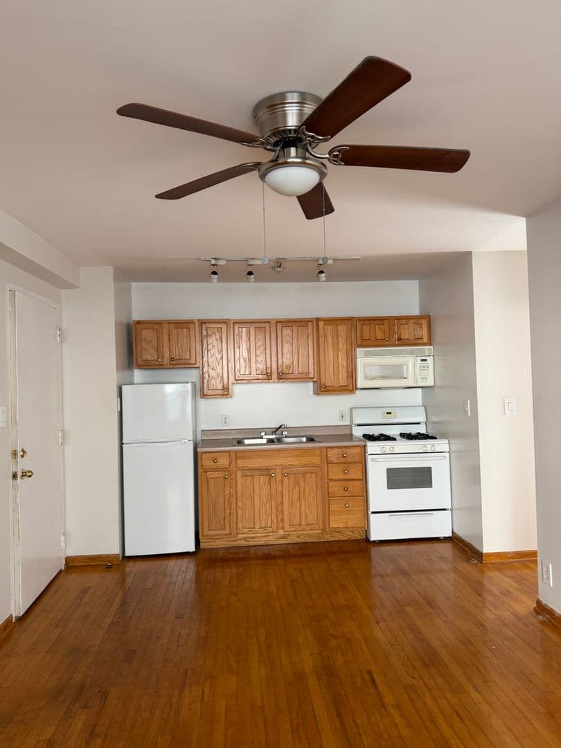 Chicago Apartment: 1624 W. Morse