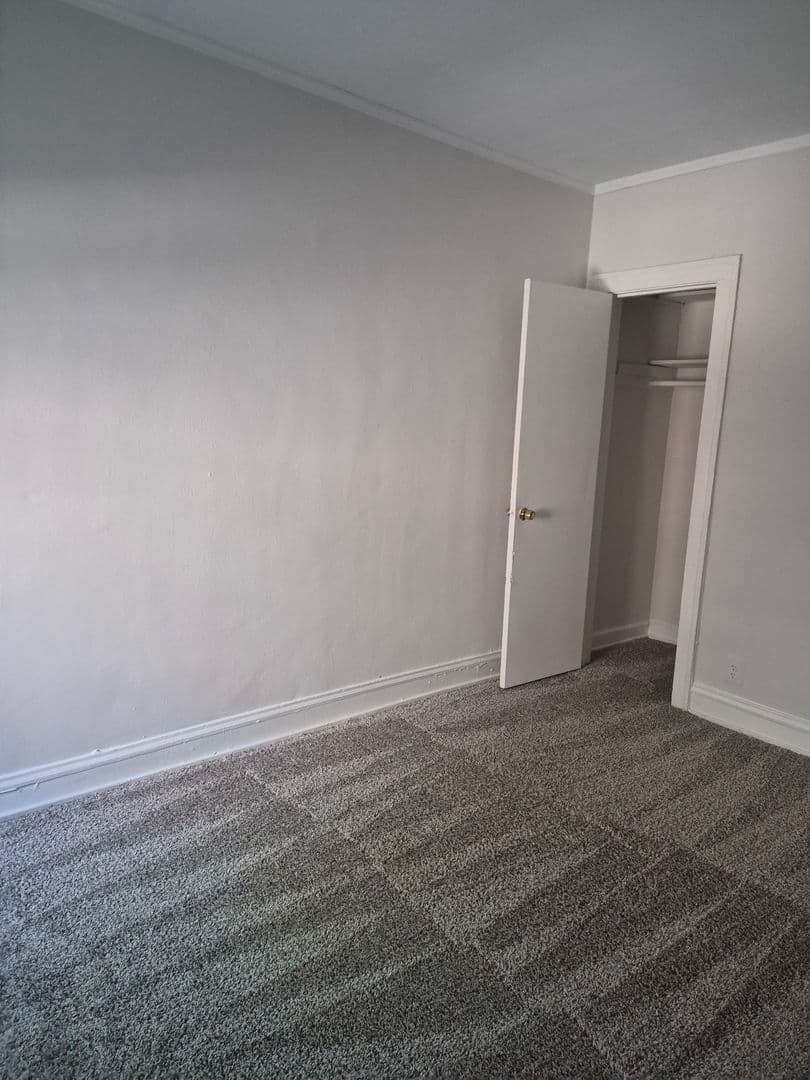 Chicago Apartment: 5210-14 South Woodlawn Avenue