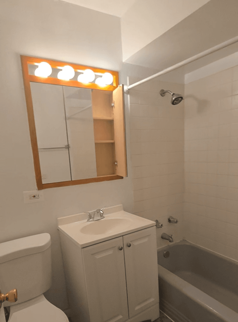 Chicago Apartment: 528 W. Wellington