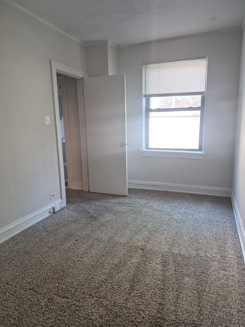 Chicago Apartment: 5210-14 South Woodlawn Avenue
