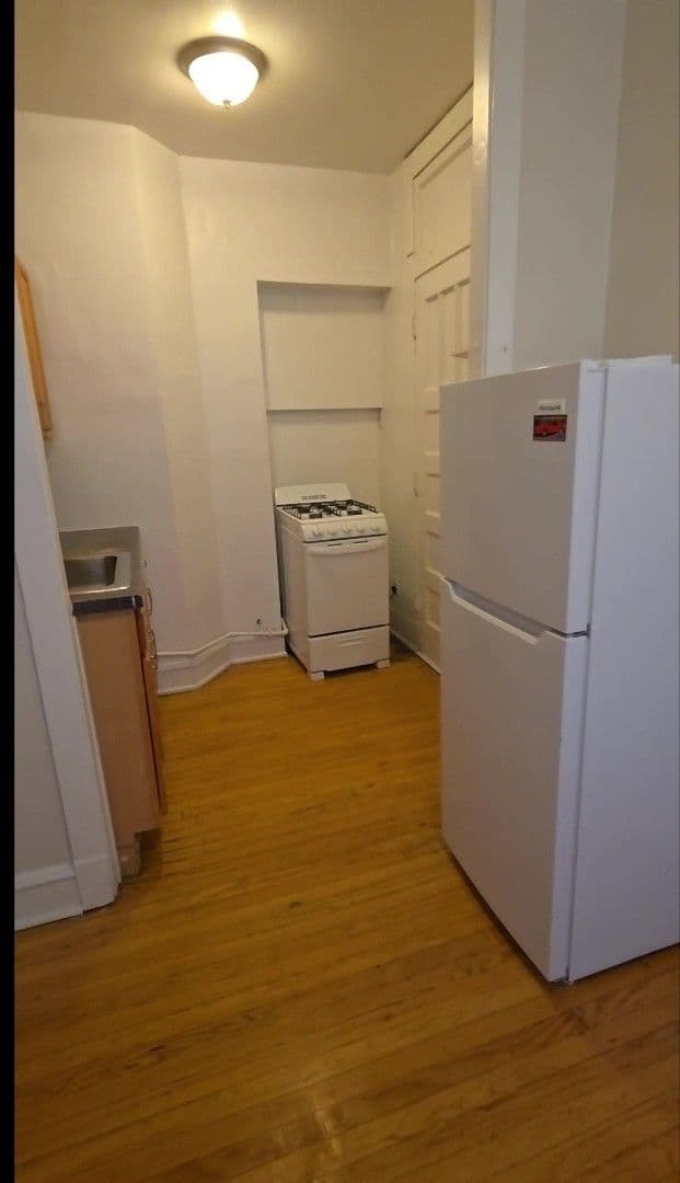 Chicago Apartment: 1357-67 W. Greenleaf