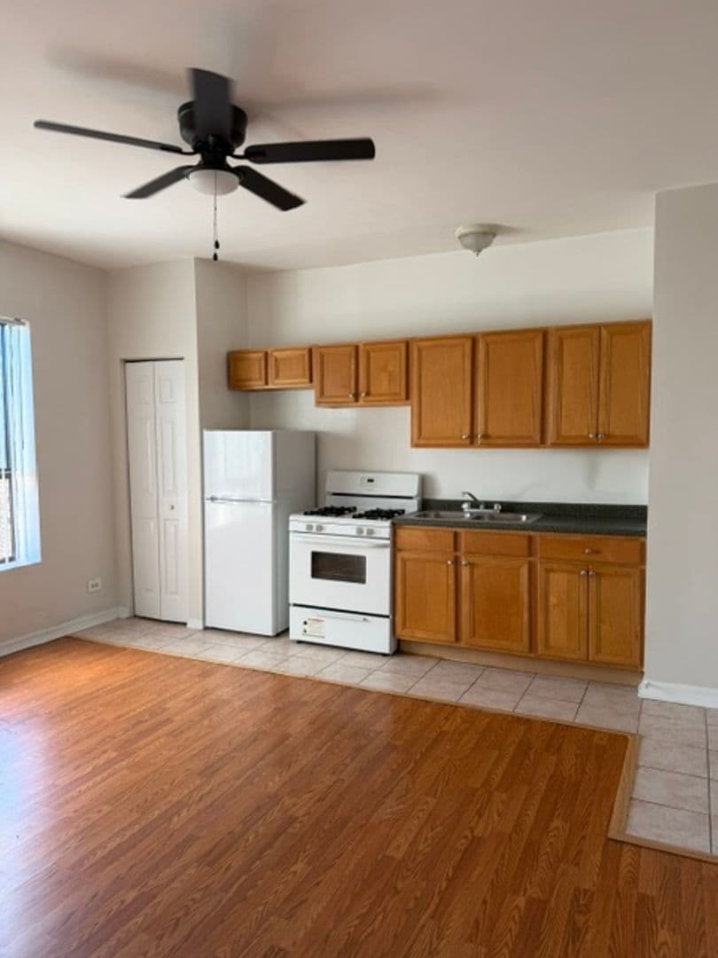 Chicago Apartment: 1624 W. Morse