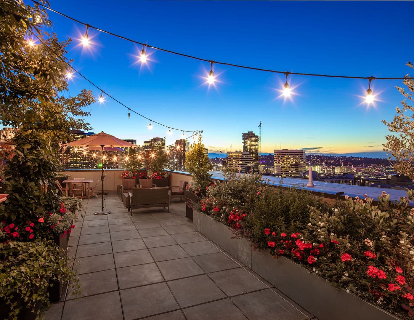 Seattle Apartment: 1430 Summit Avenue