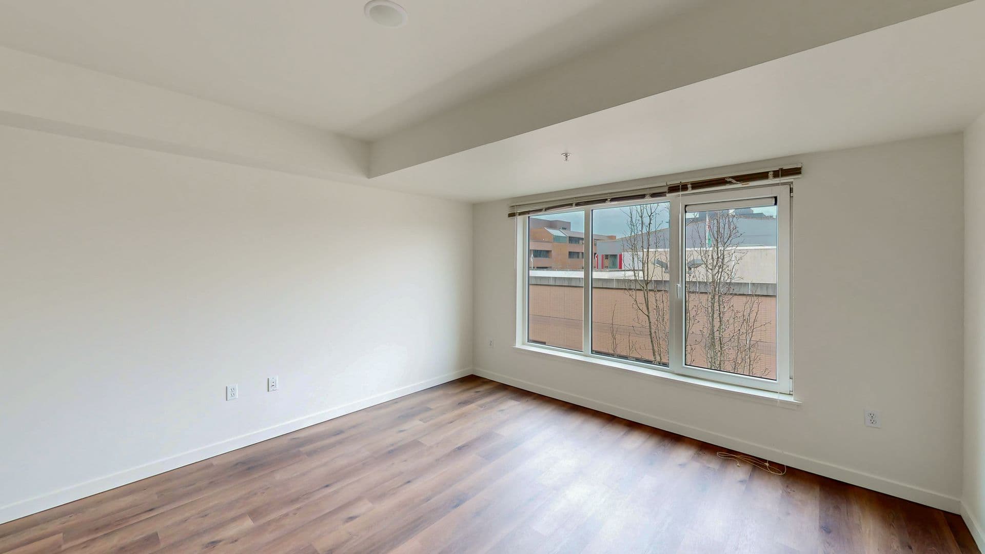 Seattle Apartment: 1641 Nagle Pl