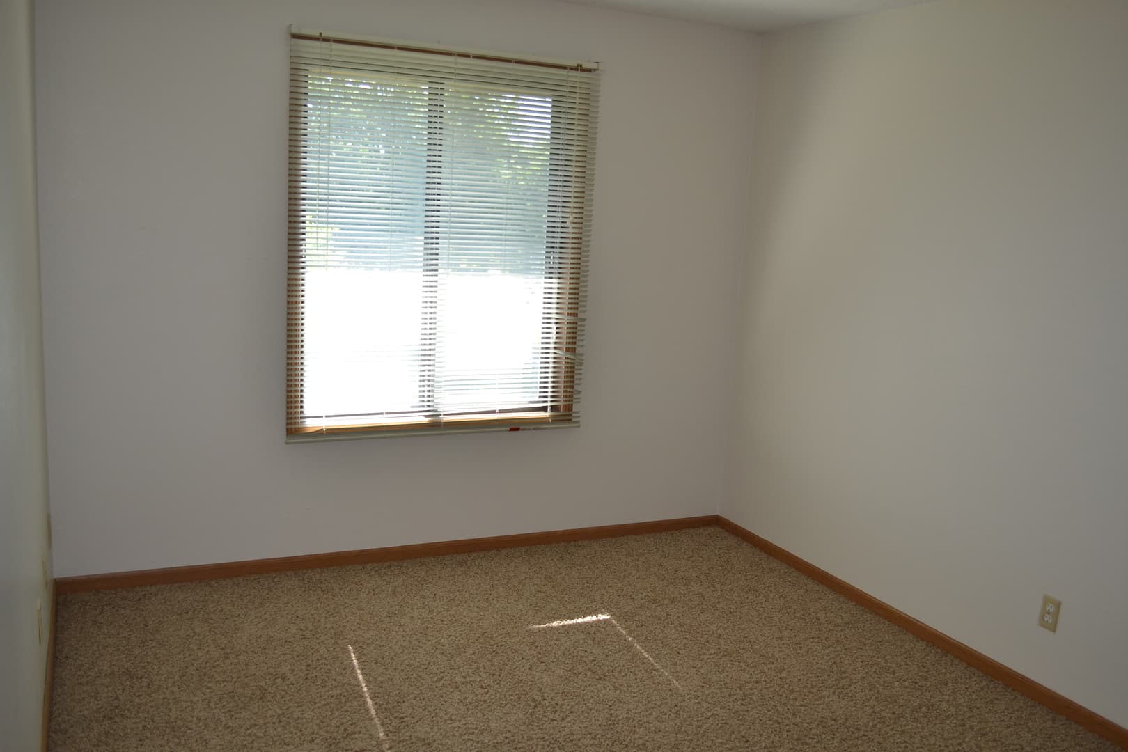 Ames Apartment: 4915 Todd
