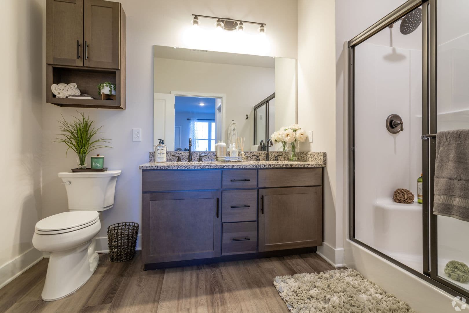 Bath Apartment: 282 N. Walnut Street
