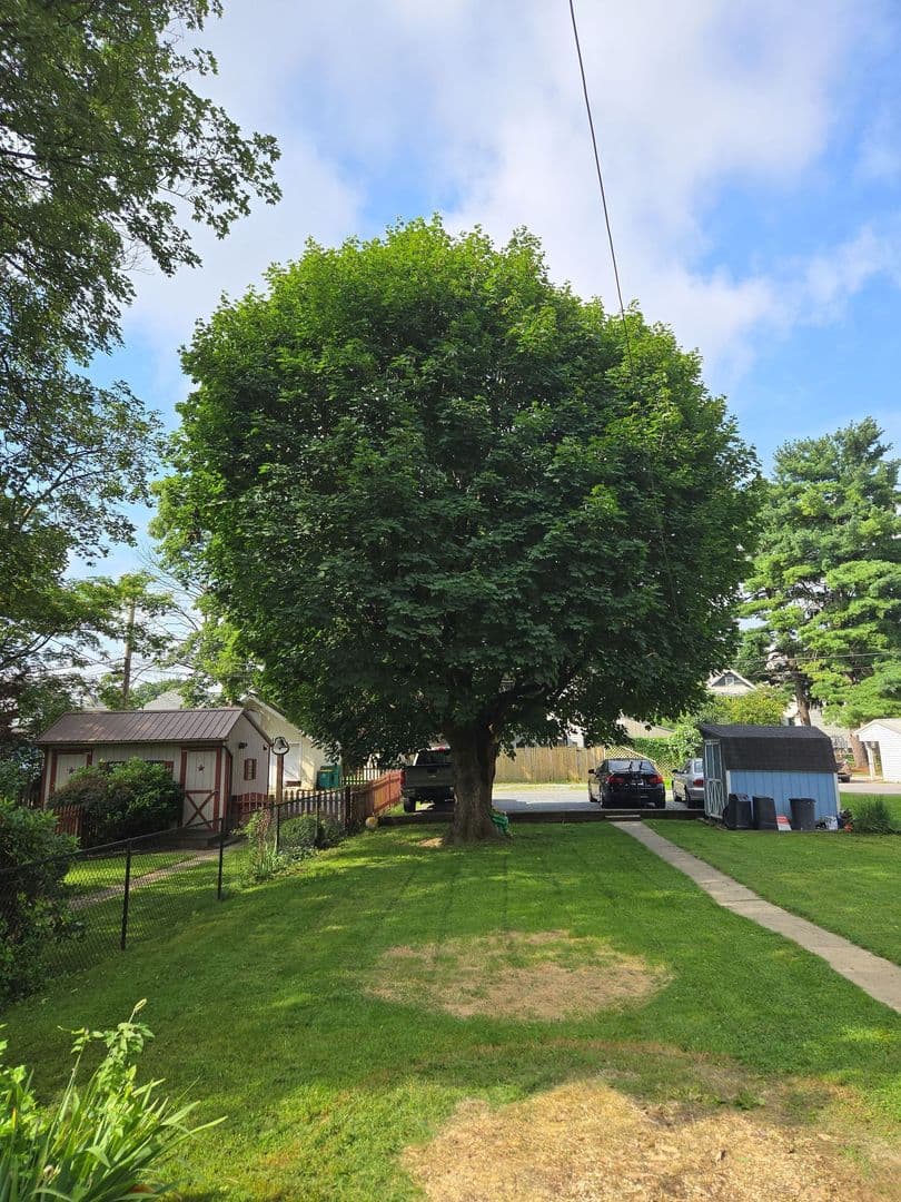 Chambersburg Apartment: 552 E King St