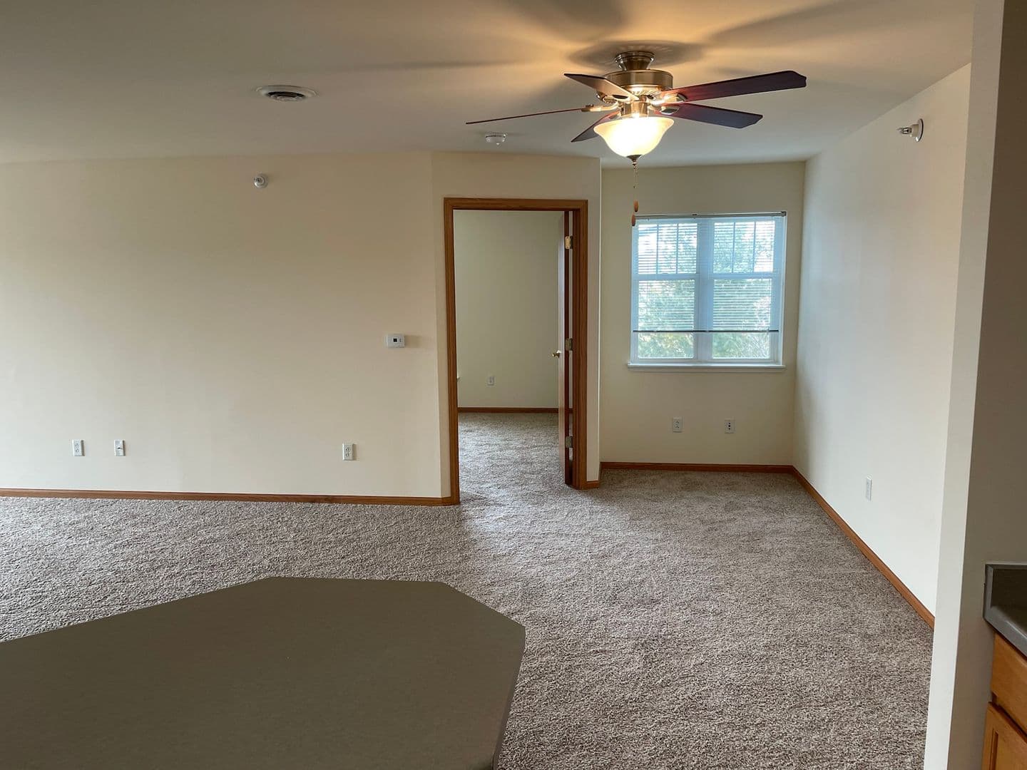 Madison Apartment: 925 Harrington Dr