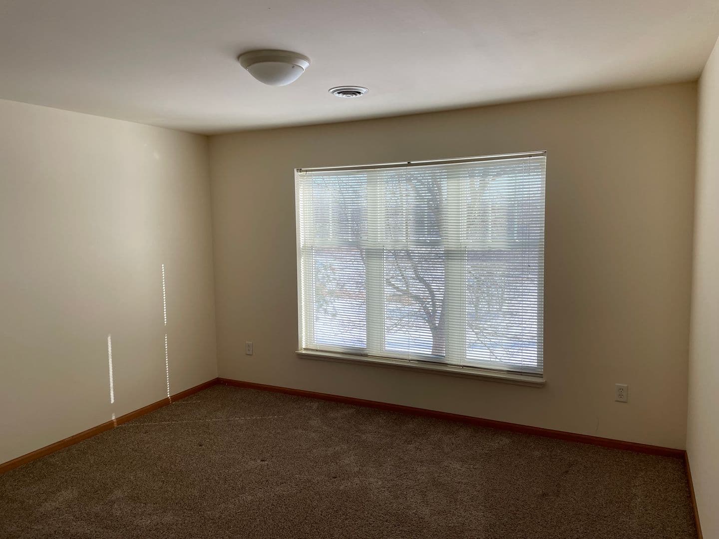 Madison Apartment: 925 Harrington Dr