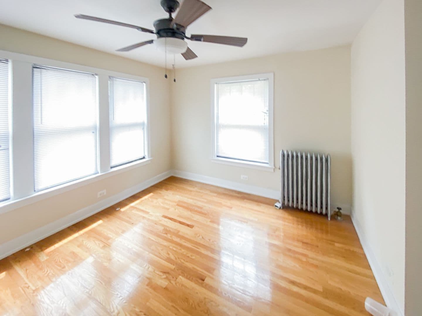 Chicago Apartment: 512 W. Cornelia Ave.