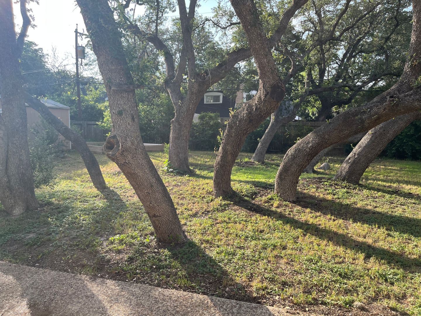 San Antonio House: 11615 Sandman
