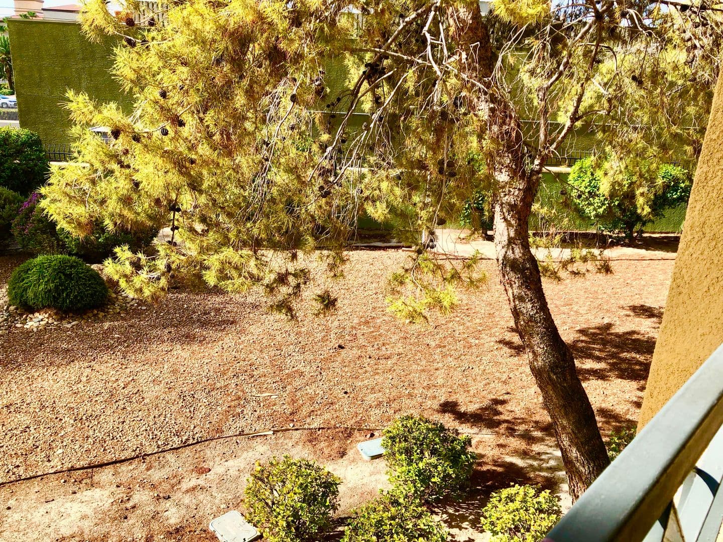 Las Vegas Condo: 270 E. Flamingo Rd