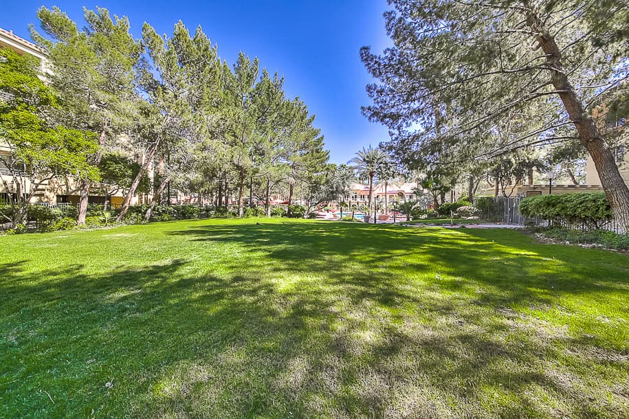 Las Vegas Condo: 260 E. Flamingo Rd.