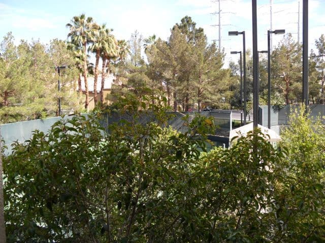 Las Vegas Condo: 220 E. Flamingo Rd.