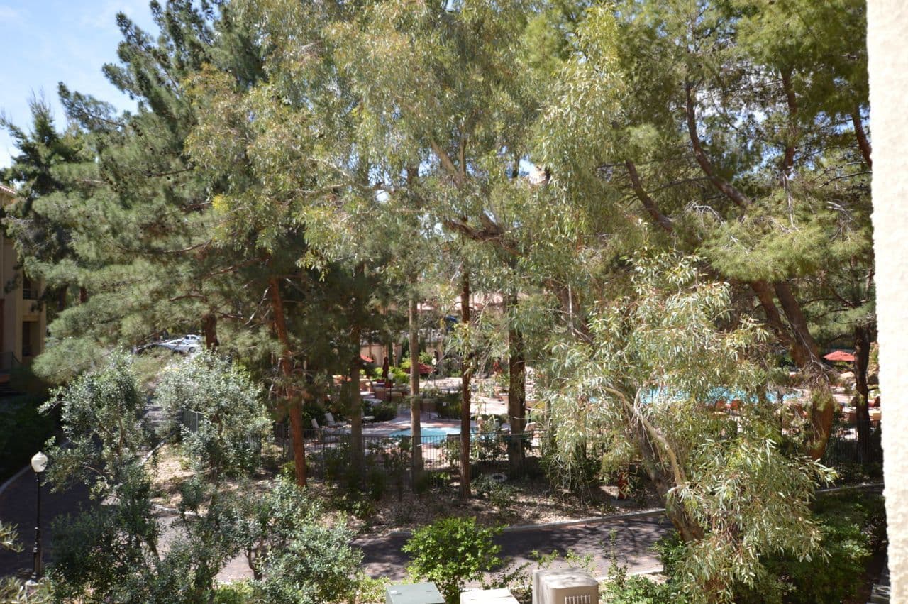 Las Vegas House: 230 E. Flamingo Rd #129