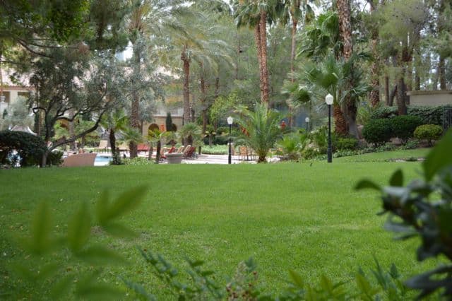 Las Vegas Condo: 270 E. Flamingo Rd