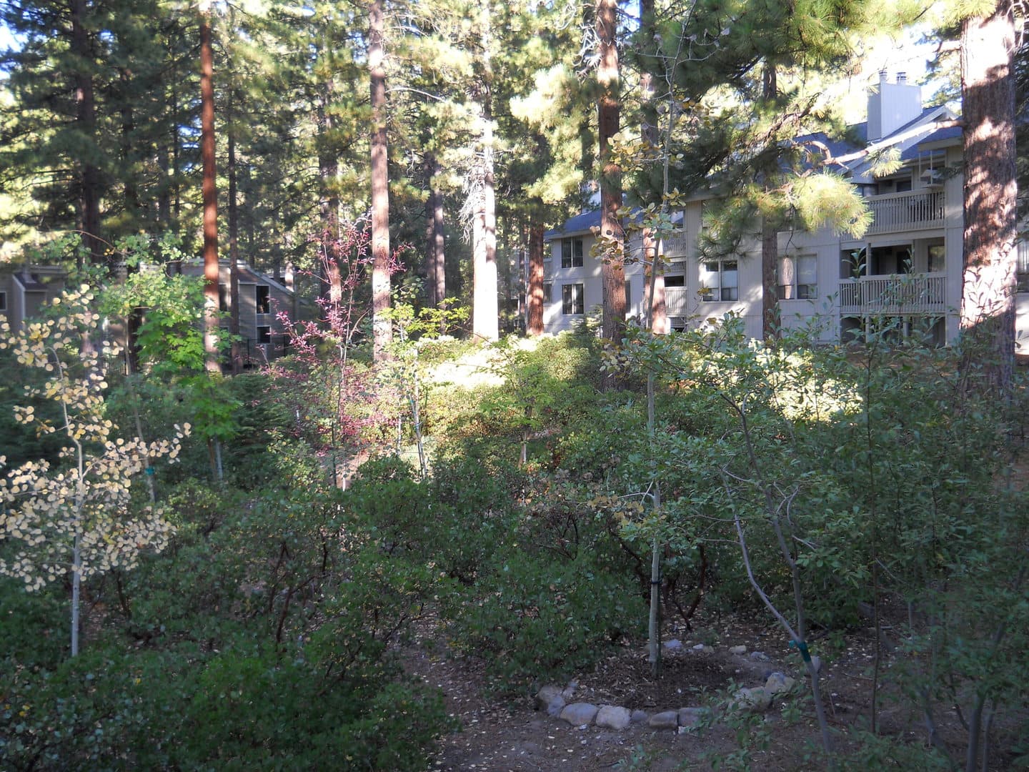 Incline Village House: 171 Village Boulevard #10