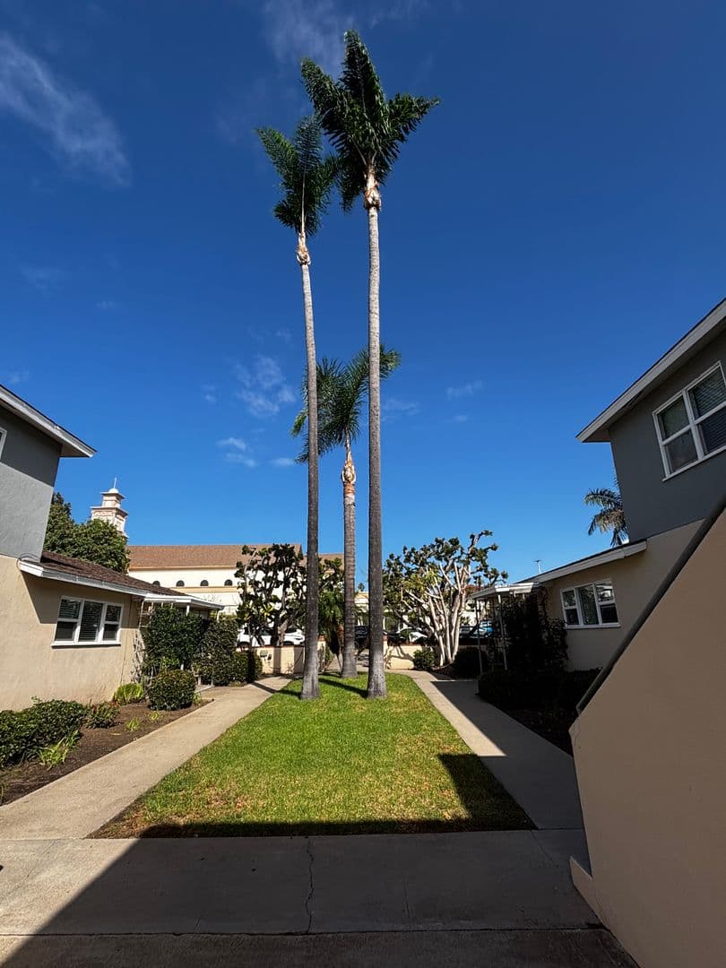 San Diego Apartment: 1017-1031 Diamond Street