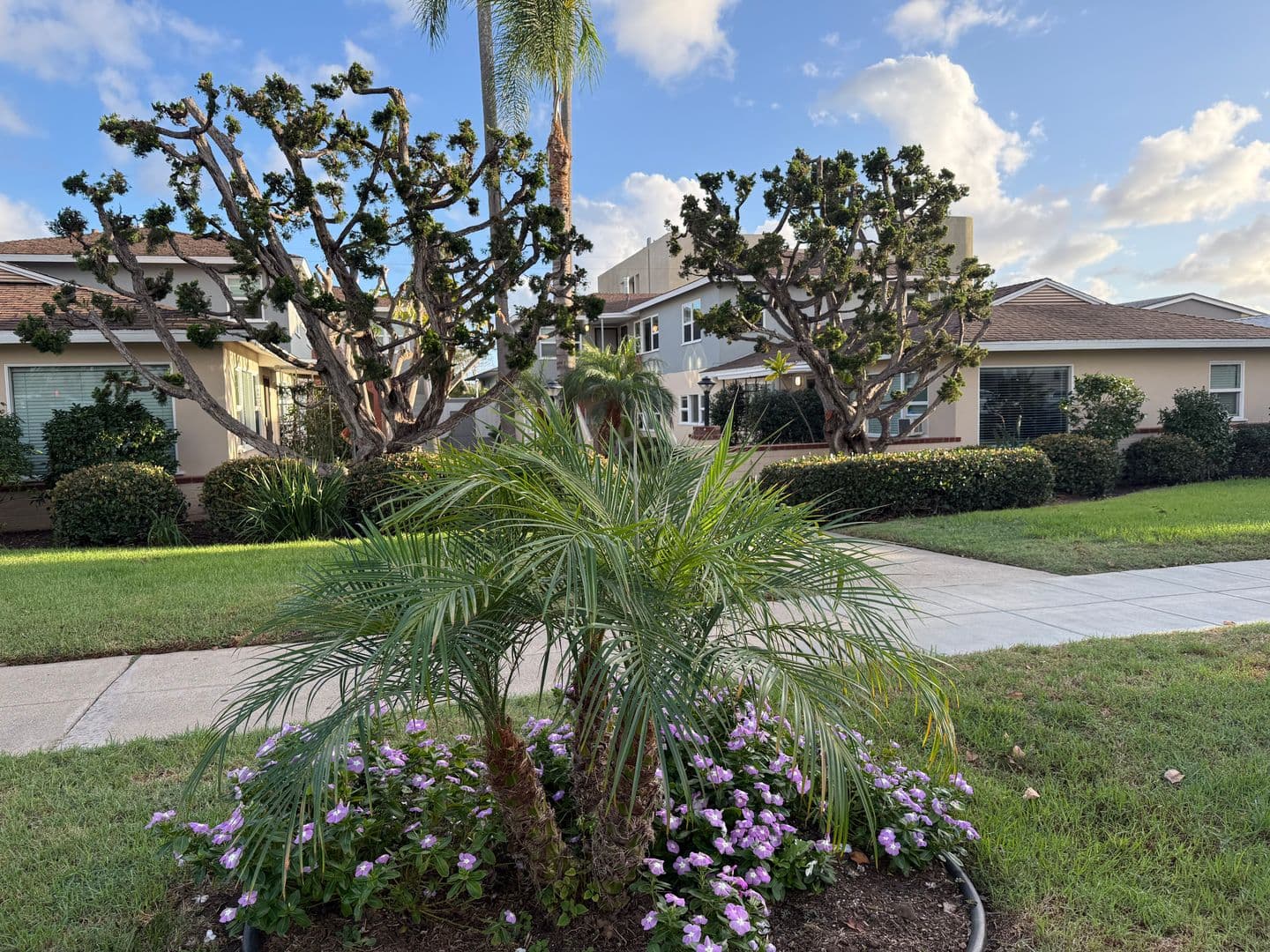 San Diego Apartment: 1017-1031 Diamond Street