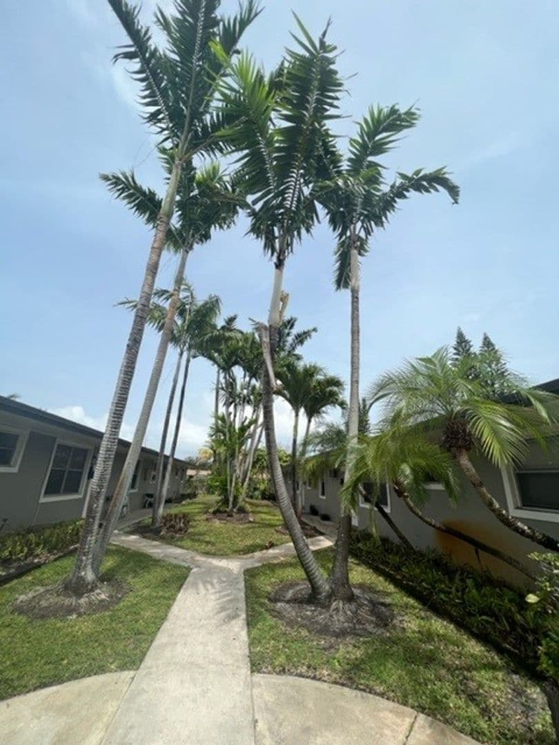 Hallandale Beach Apartment: 102-108 NW 1st Street (108 Premiere) | 112-128 NW 2nd Ave (128 Premiere)