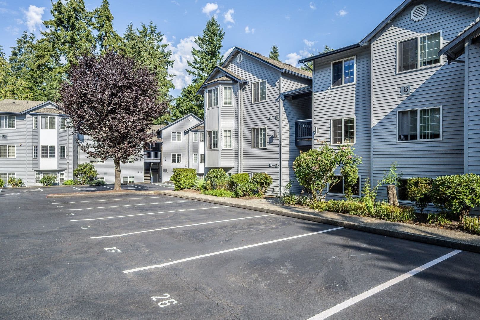Renton Apartment: 1201 Anacortes Ave NE