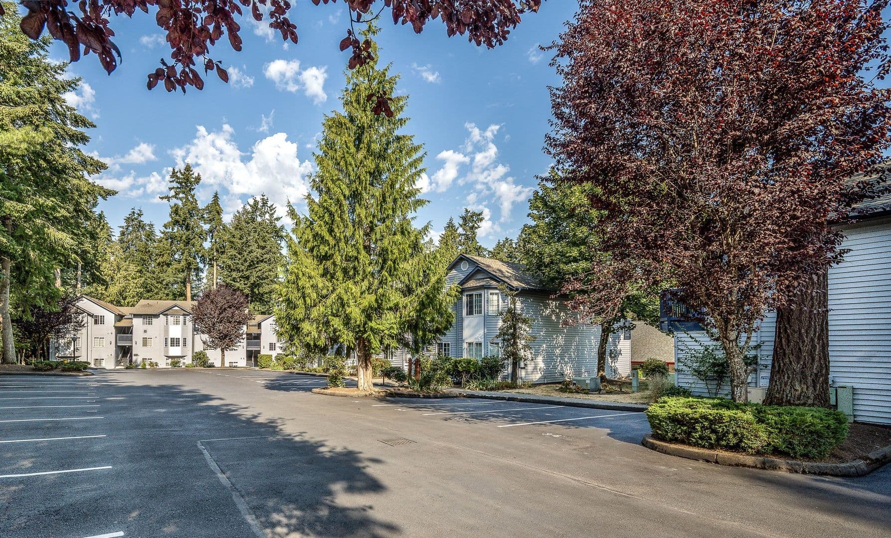 Renton Apartment: 1201 Anacortes Ave NE