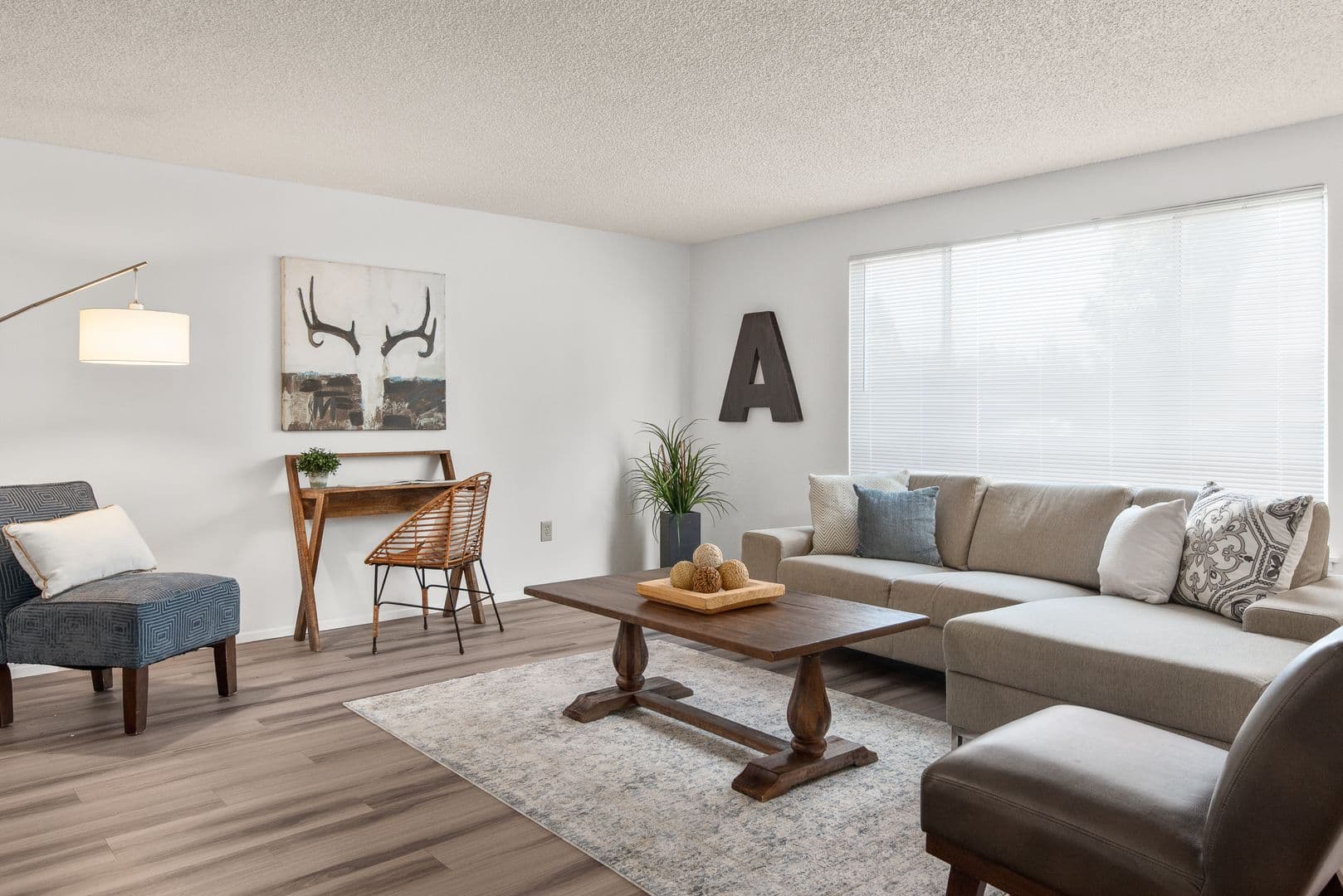 Auburn Multiplex: 2556 M Pl Unit D