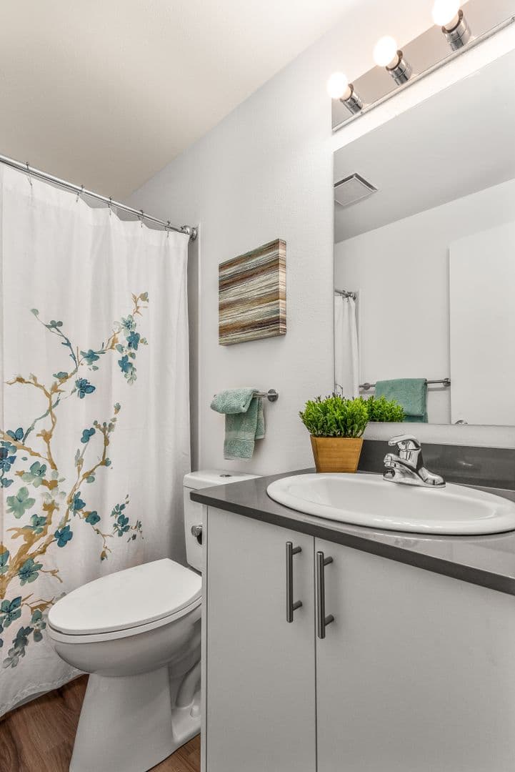 Auburn Multiplex: 2556 M Pl Unit D