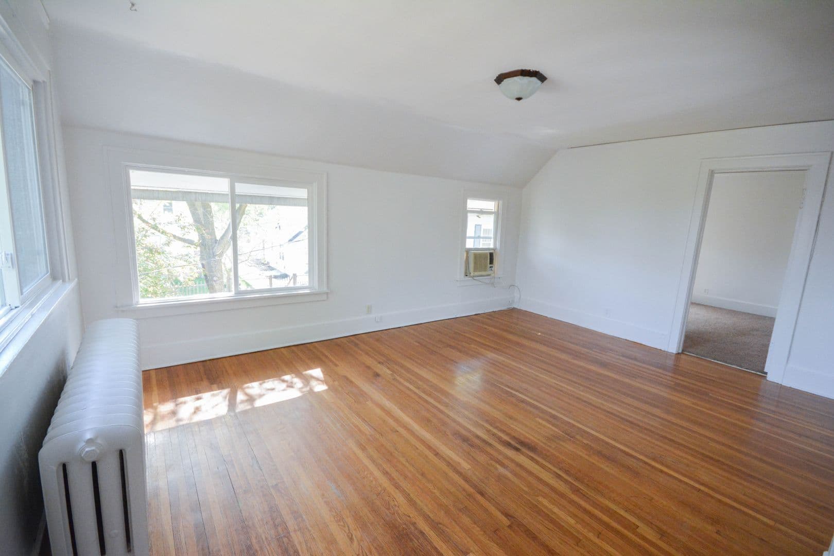 Rochester Apartment: 1117 1st St NW