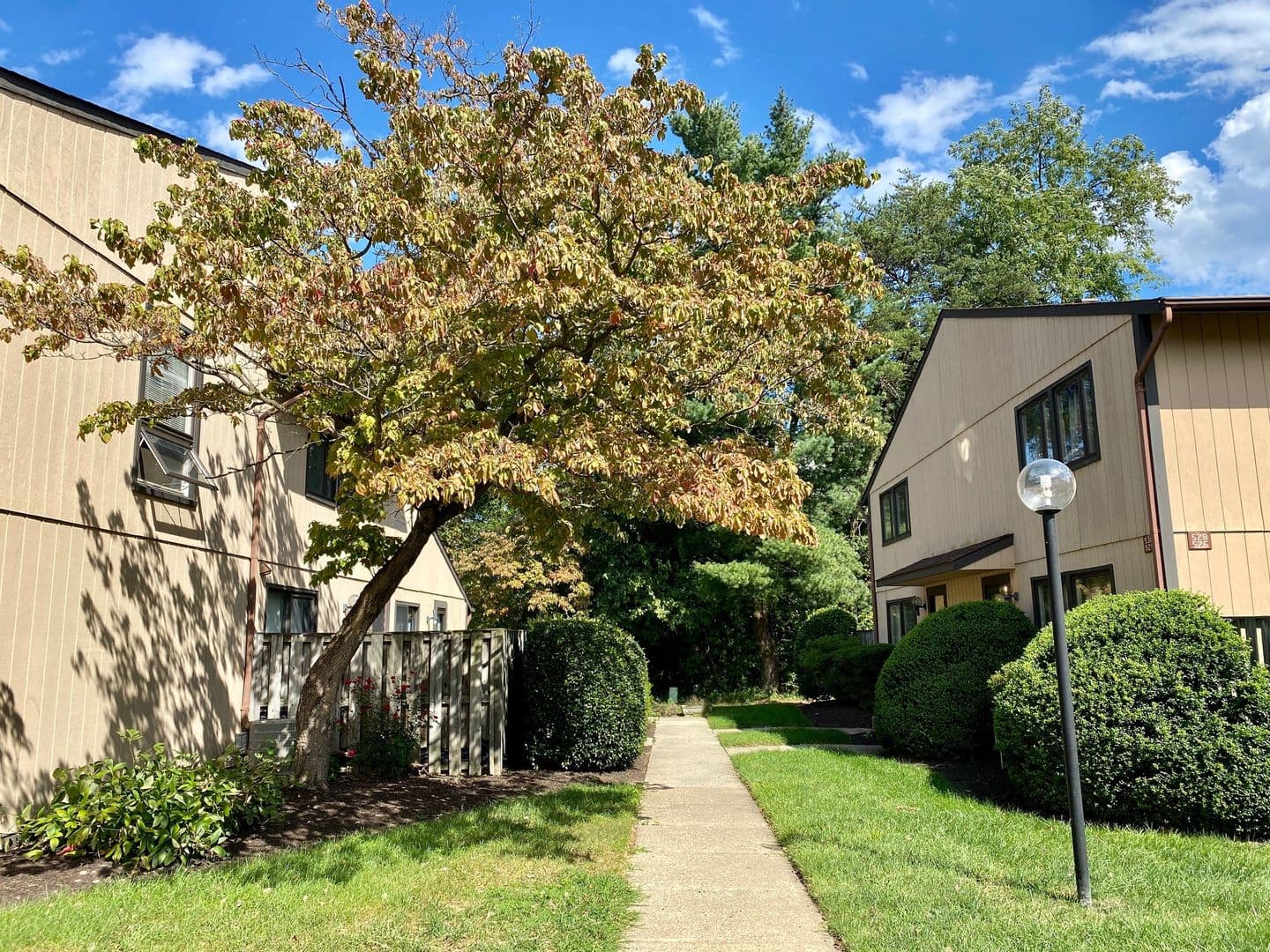 Glen Burnie House: 518 West Court
