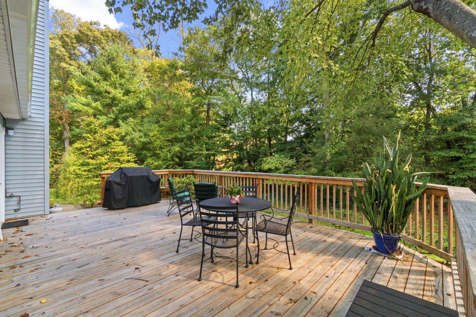 Annapolis House: 709 Sydney Terrace