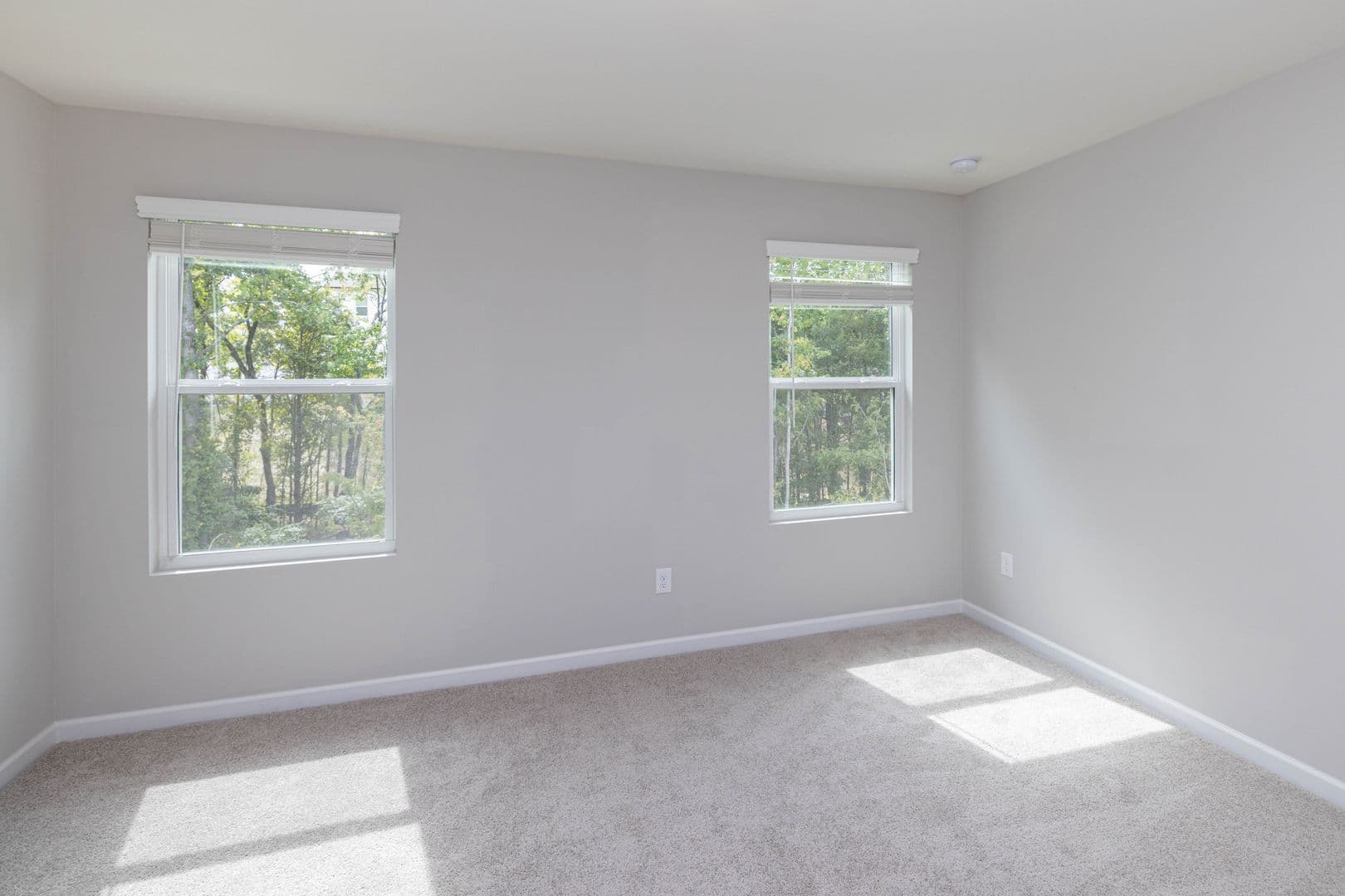 Charlotte Townhome: 11028 Woodland Creek Way