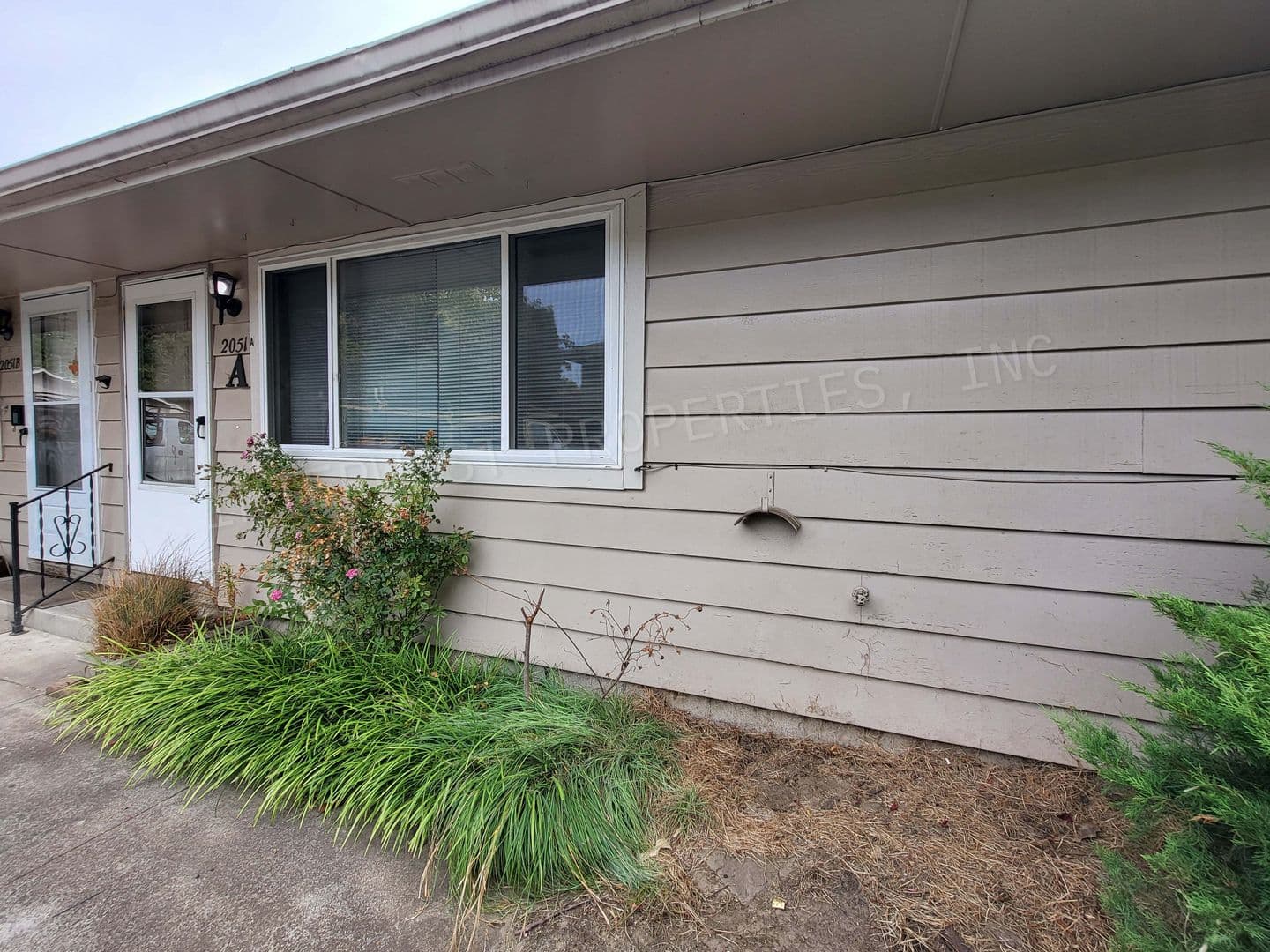 HILLSBORO Apartment: SPRUCE STREET APTS