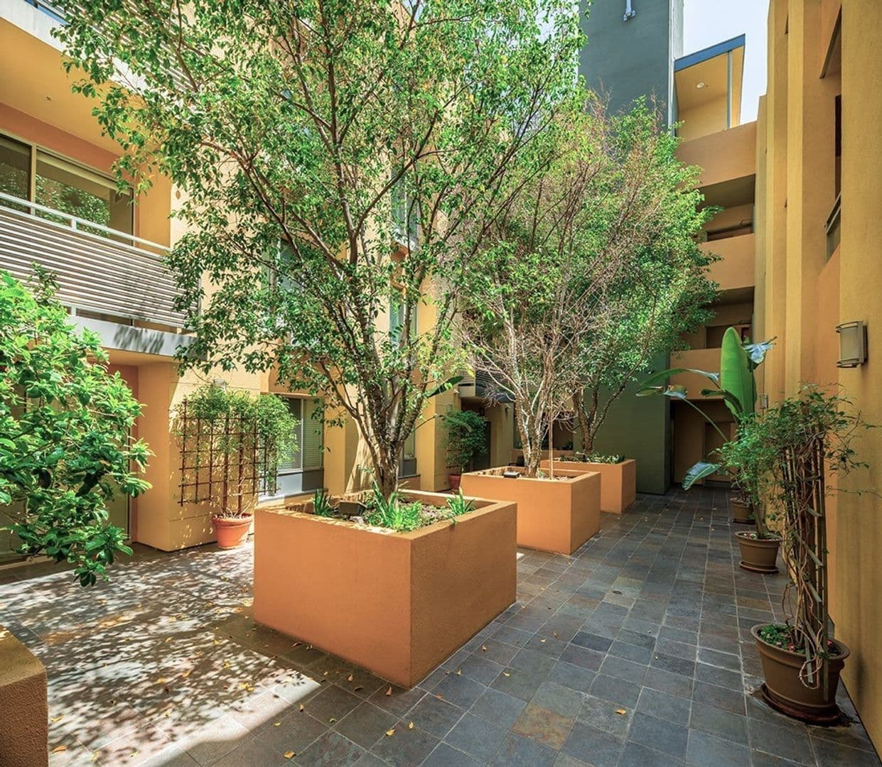 PASADENA Apartment: 65 W DAYTON STREET