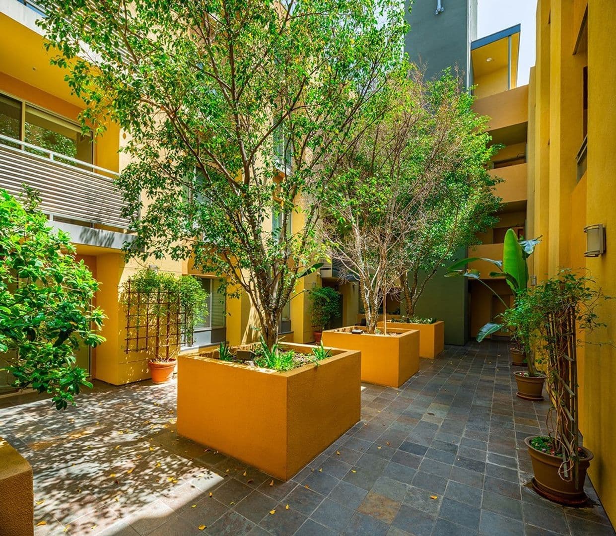 PASADENA Apartment: 65 W DAYTON STREET