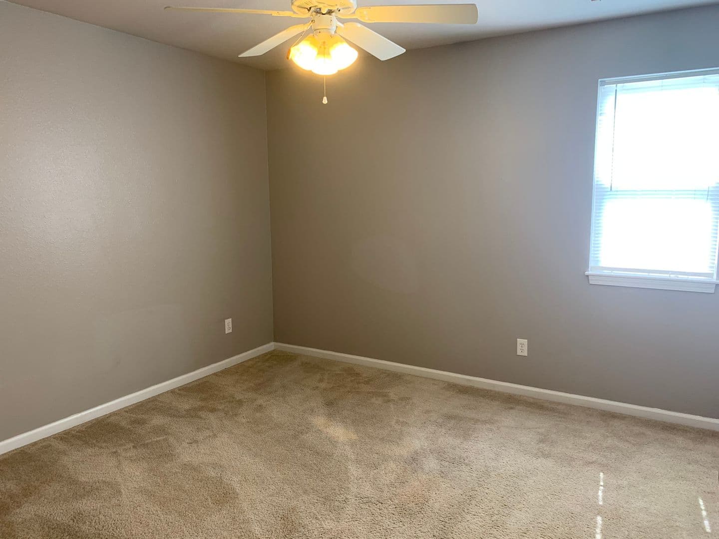 Waynesville Apartment: 102 Fleetwood