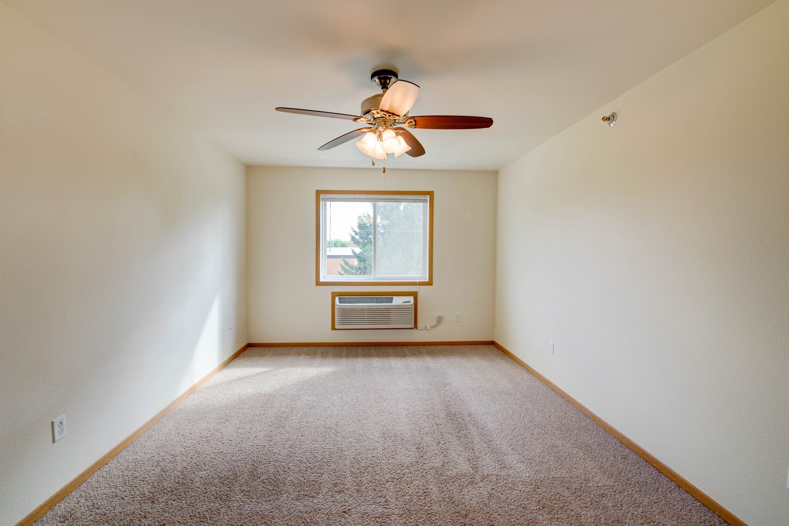 Minot Apartment: 816 10th Avenue NW