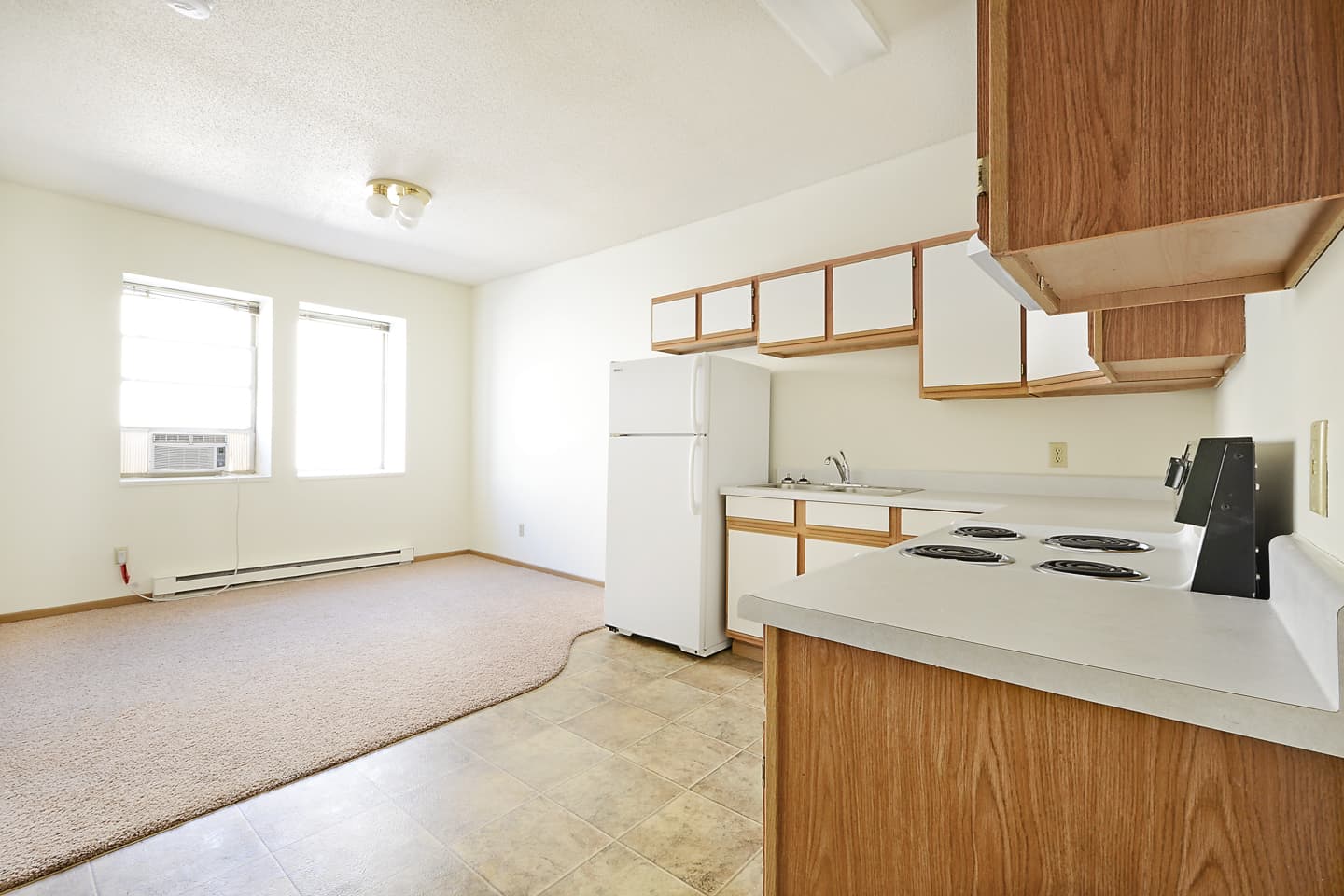 Minot Apartment: 6 North Main Street