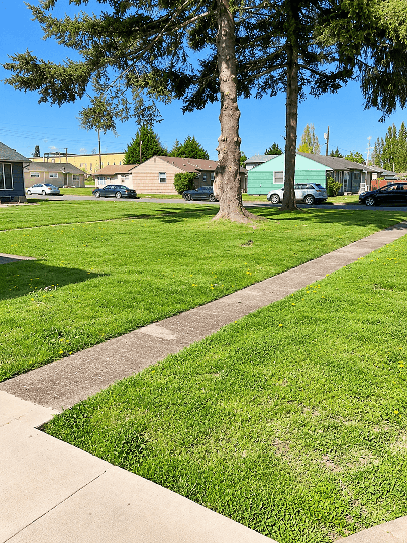 Longview Apartment: 214 - 285 Cypress / 254 - 256 Colorado