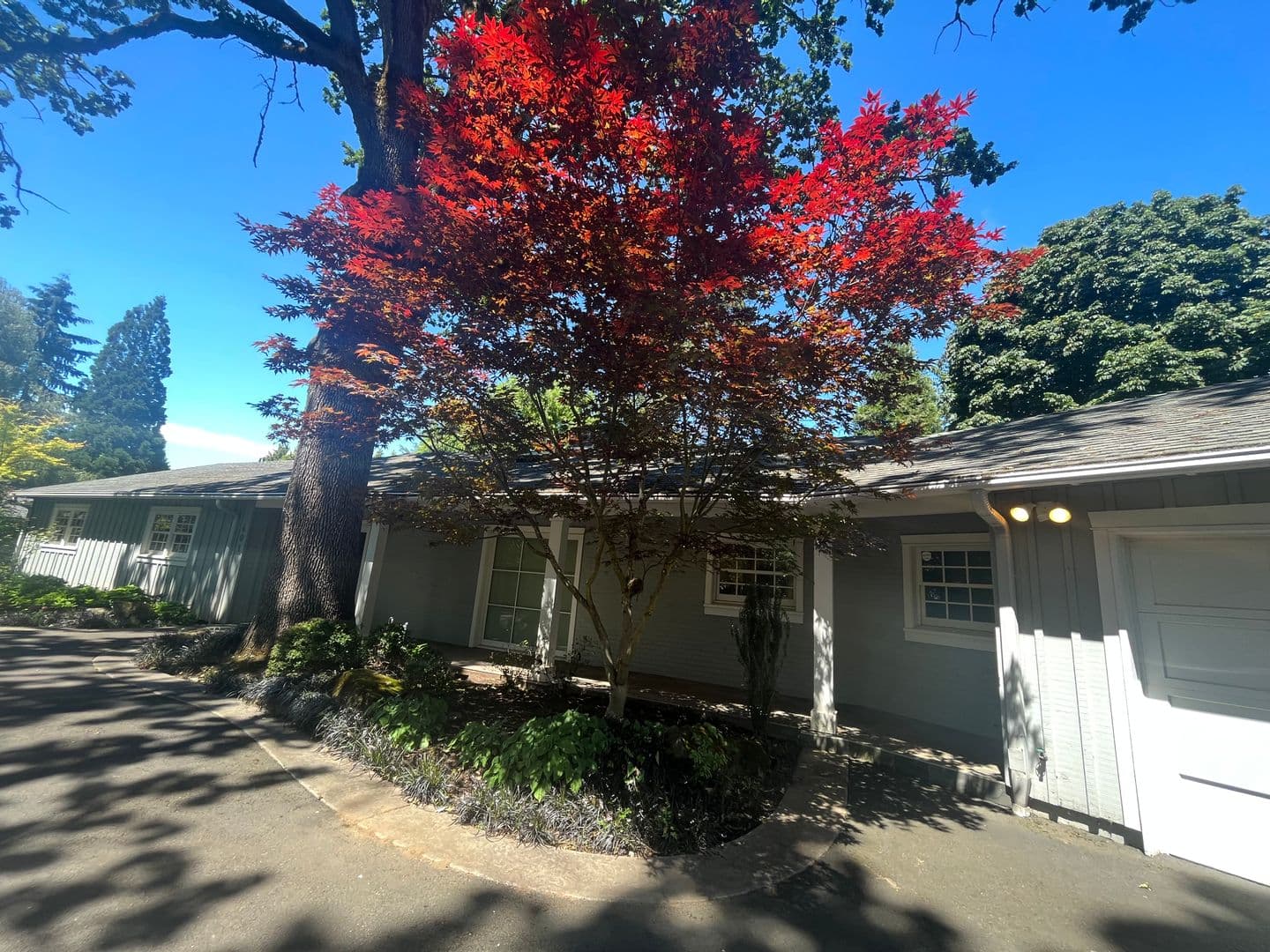 Vancouver House: 601 Rhododendron Drive
