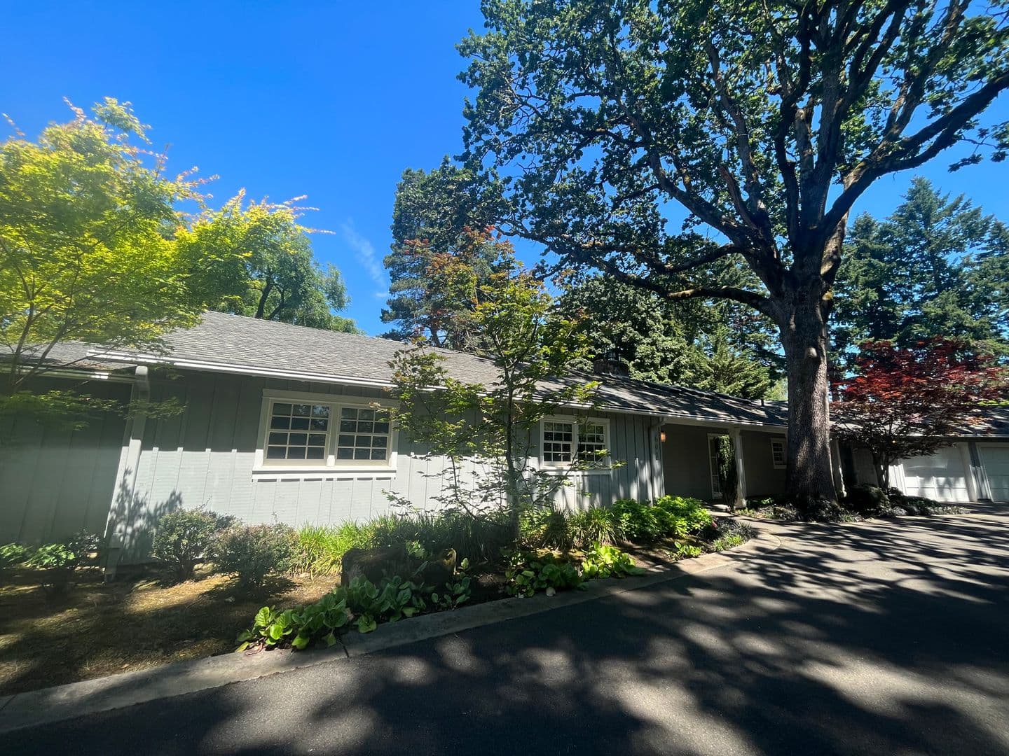 Vancouver House: 601 Rhododendron Drive