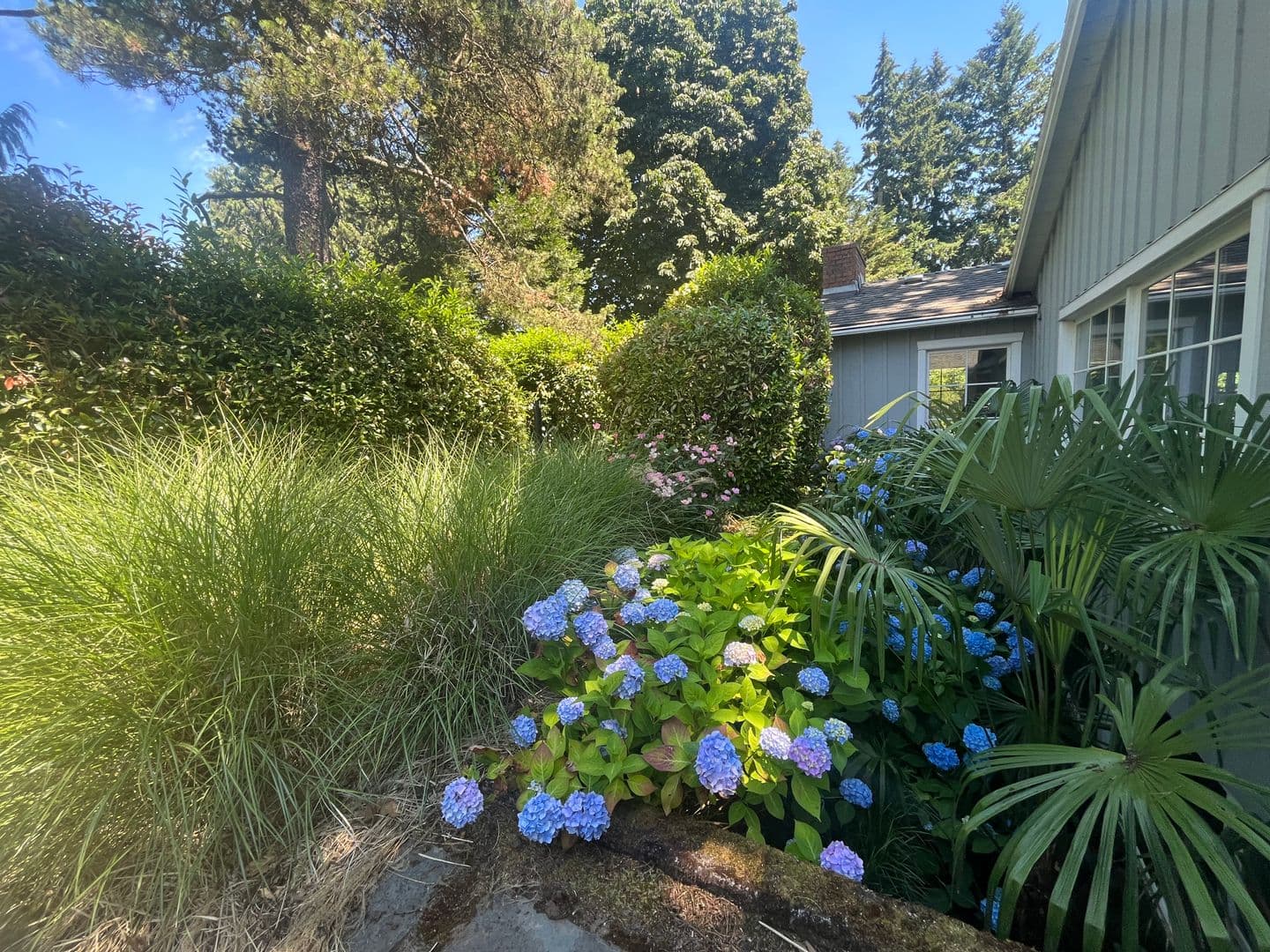Vancouver House: 601 Rhododendron Drive