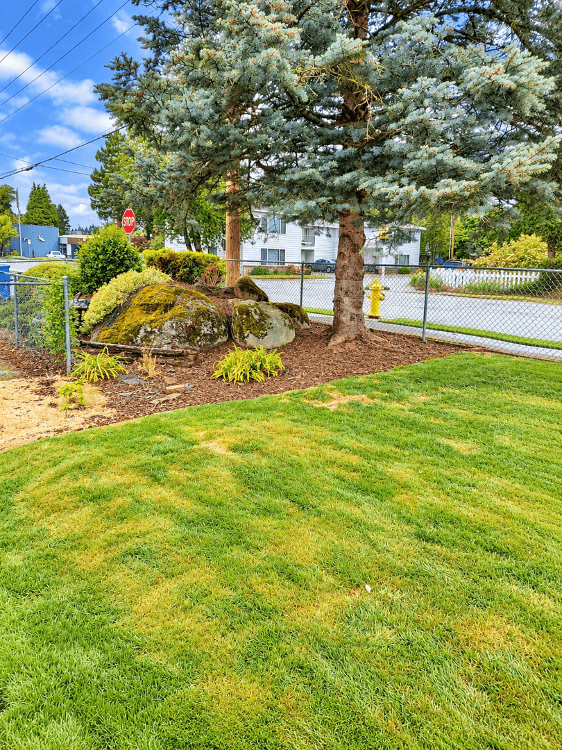 Washougal Apartment: 1802 C Street