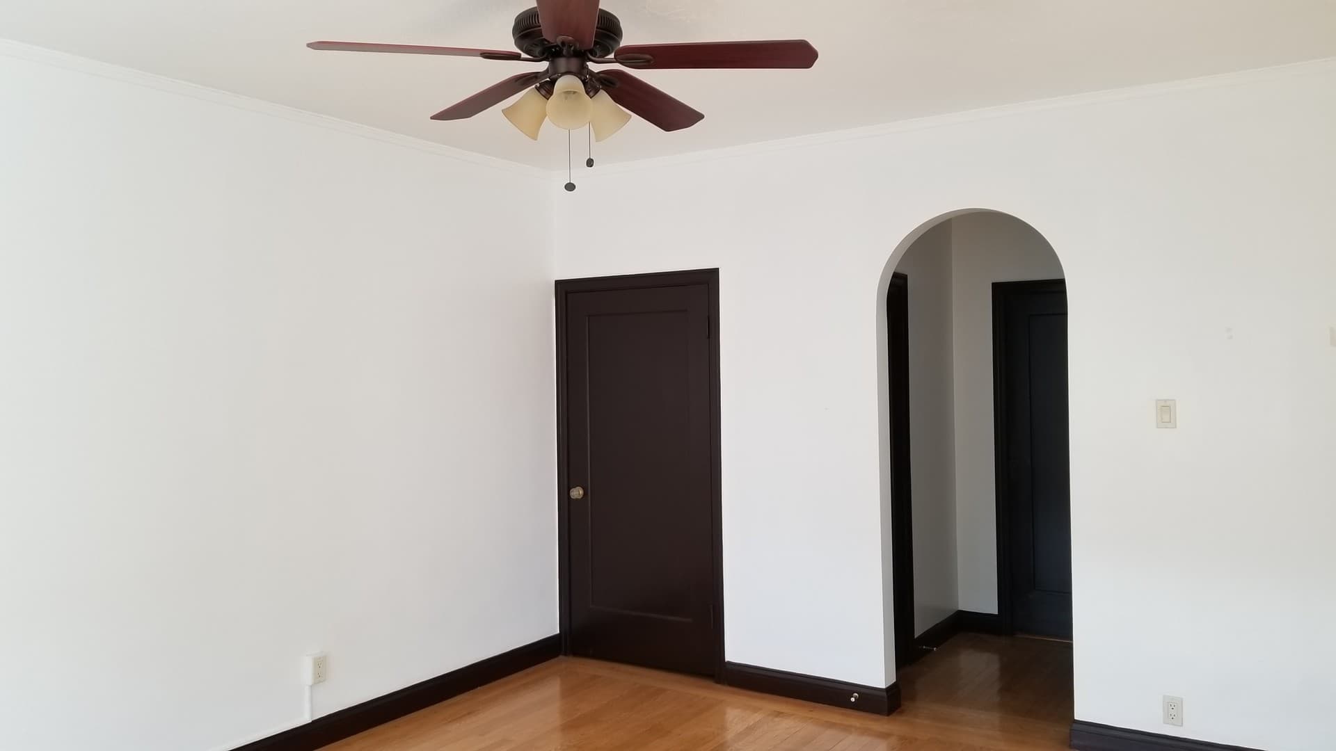 Richmond Apartment: 144 13th St.