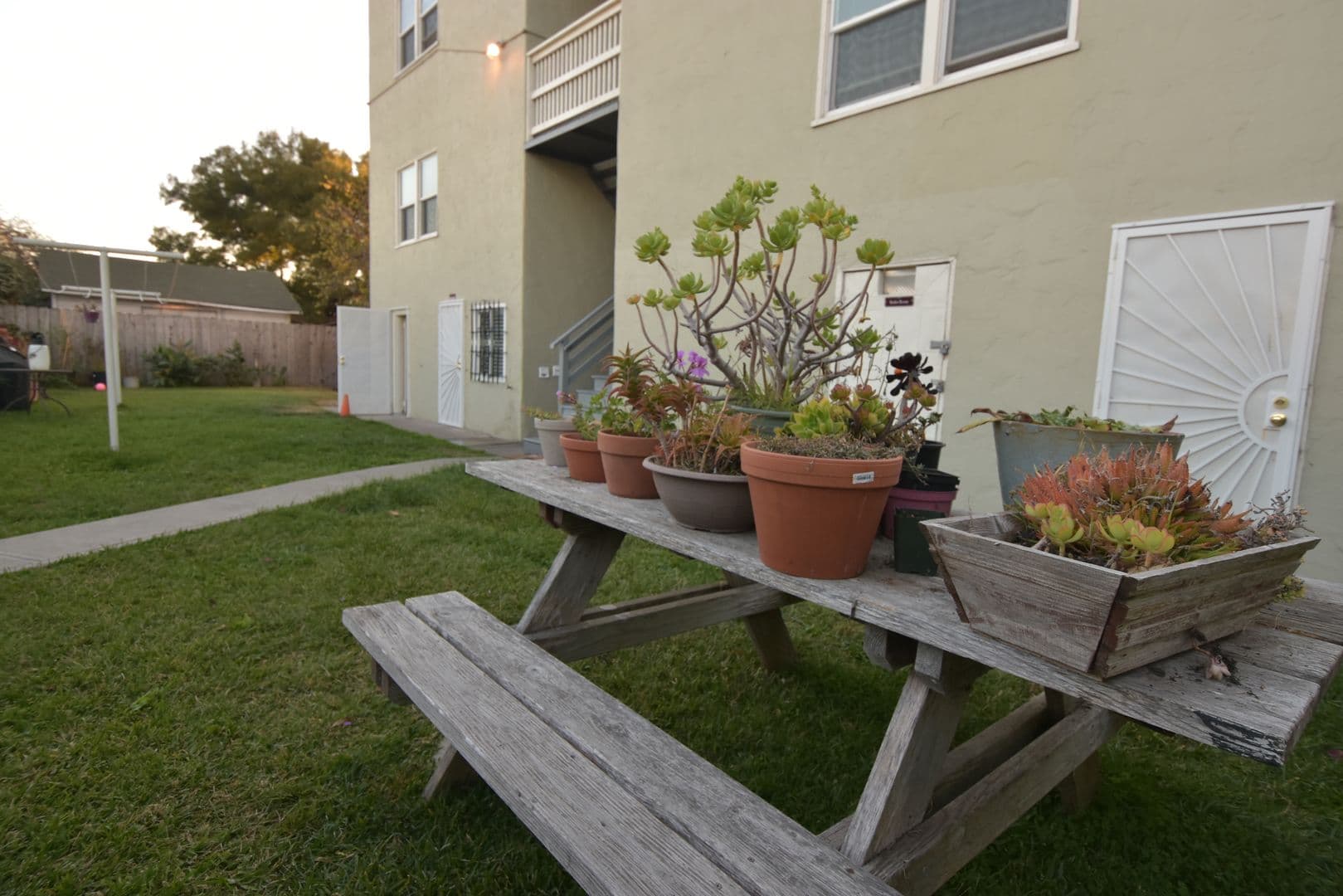 Richmond Apartment: 144 13th St.