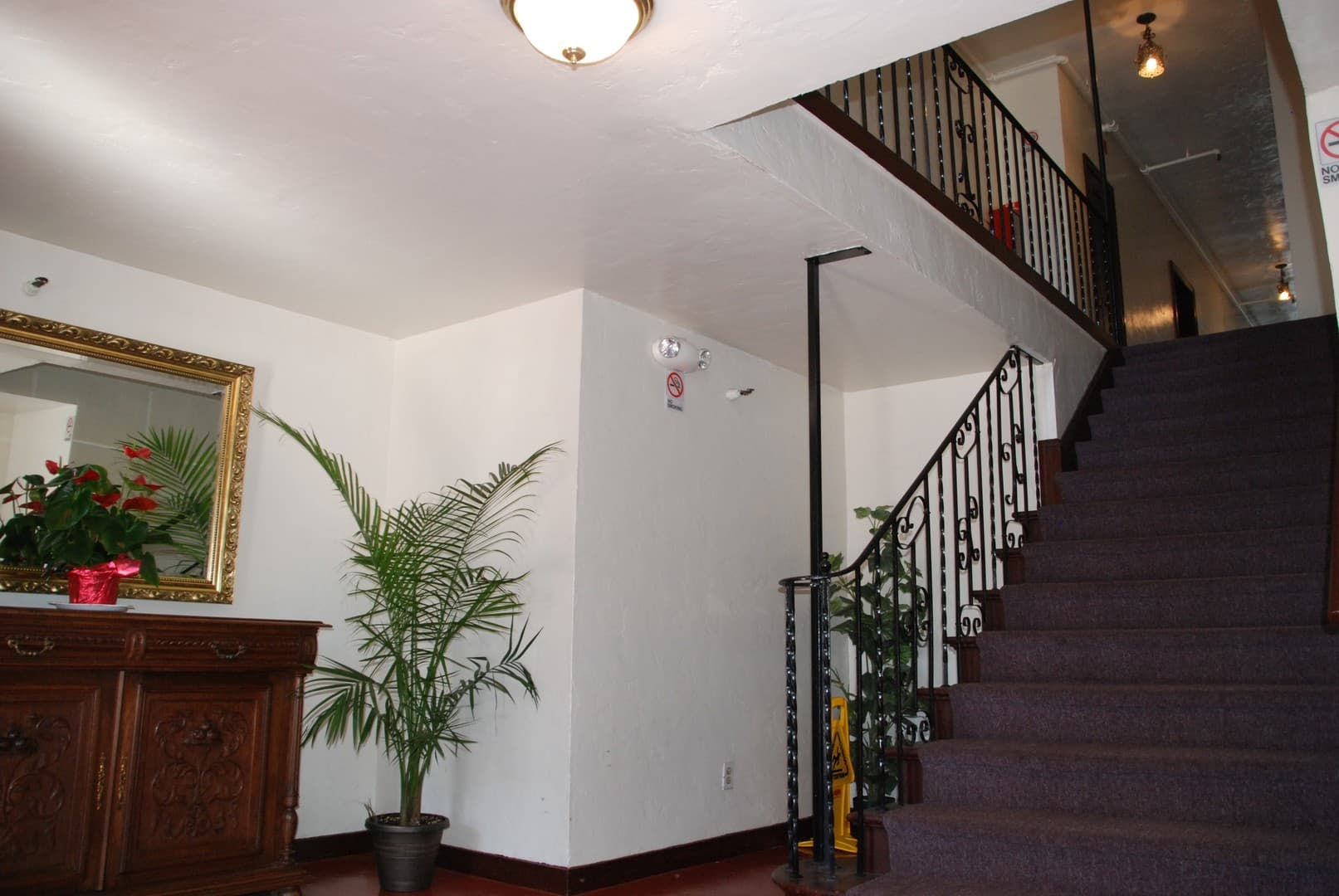 Richmond Apartment: 144 13th St.