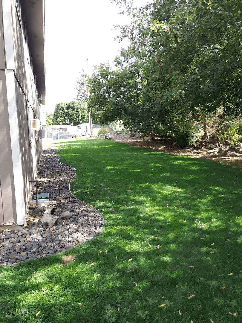 Spokane Apartment: 804 E Hartson Ave