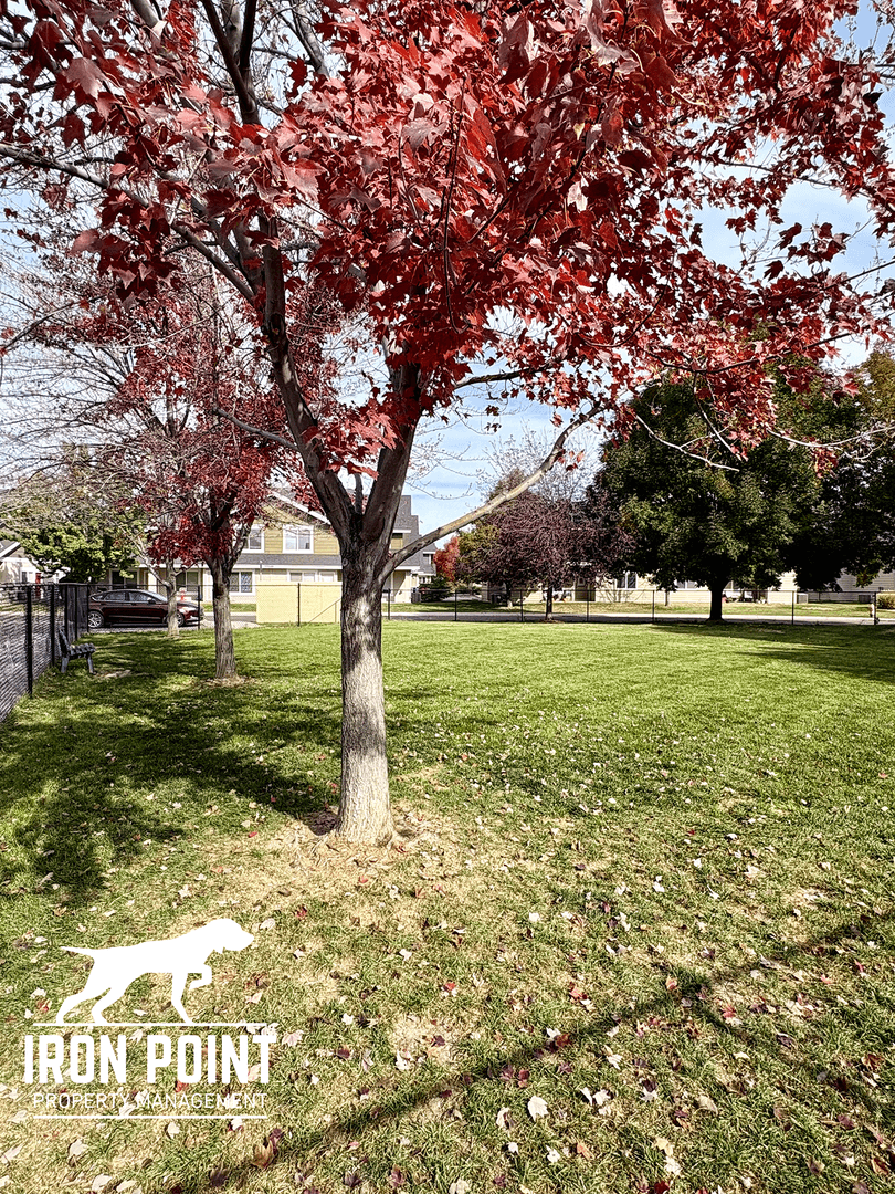 Nampa Apartment: 16638 N Profit Cir