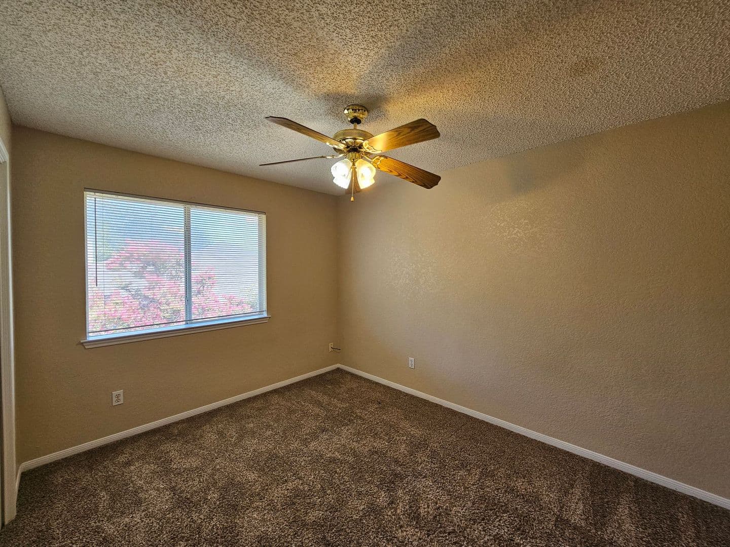 Harker Heights House: 1701 Tanglewood Drive